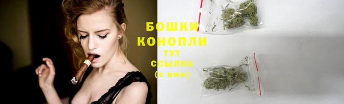 мдпв Горнозаводск