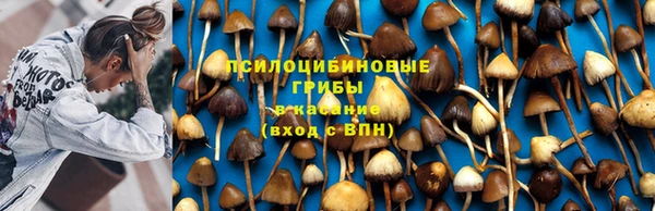 прущий лед Вяземский