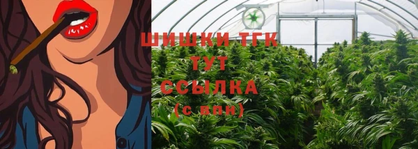 метадон Горняк