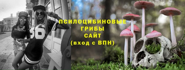 мдпв Горнозаводск